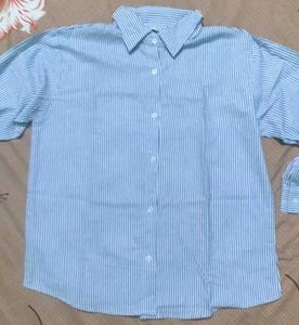 Classic Blue Striped Button-Down Shirt
