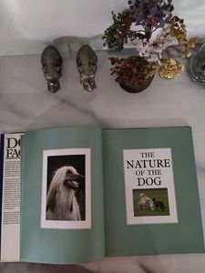 The Nature of Dog Book