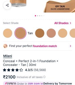 Milani Conceal + Perfect Foundation