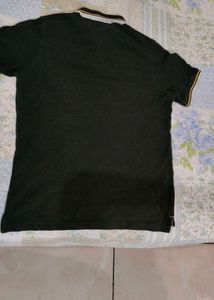 Men's Dark Green Polo T-Shirt