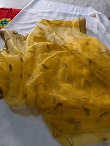 VERY Beautiful Net Dupatta