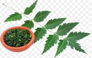 250gm Dry Nim Leaves