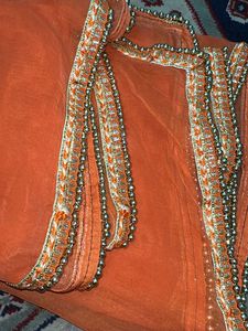 Orange dupatta with Embellished Border