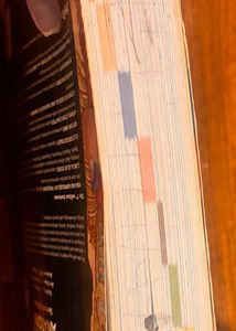 Moore's Clinically Oriented Anatomy