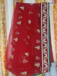 Embroidered Lehenga choli