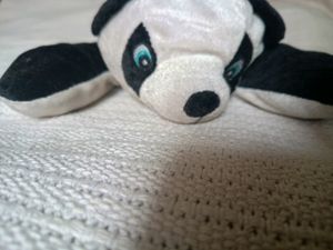 Black And White Panda Teddy 🐻‍❄️🐻‍❄️🐻‍❄️