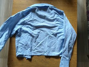 Blue Striped Button-Up Shirt (slightly cropped)