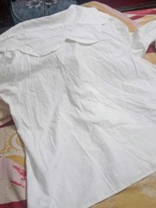 🎀beautiful a lion Korean style shirt 🎀