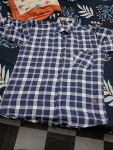 Men's Blue & White Checkered Shirt(Lsize )Haii