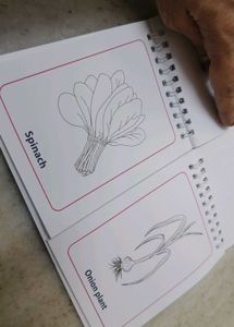 Vegetables colouring book