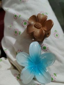 Floral Claw Clip - 2 pc