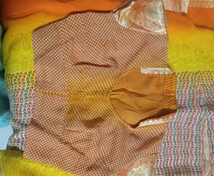 Kasirya Saree Multi Colour