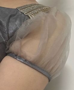 Silver Embellished Party Wear Net &amp; Georget Saree