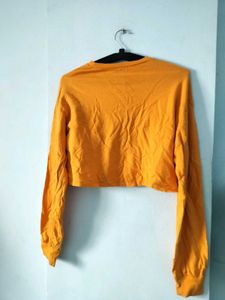Orange Cropped Long Sleeve Top 🍊
