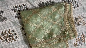 (new)Elegant Green Embellished Dupatta