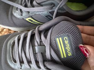 Campus Dark Grey Sports Shoes