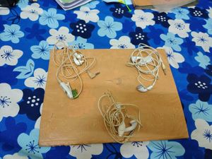 Earphones with Mic for Mobile