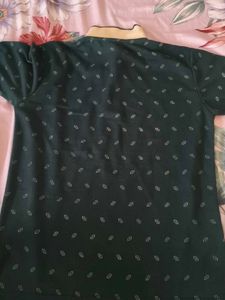 Boys's Green Printed Polo T-Shirt