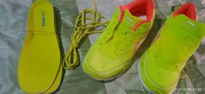 shoe