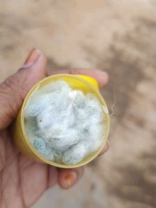Cottonseeds With Container