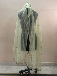 Sheer Dupatta with Embellishments