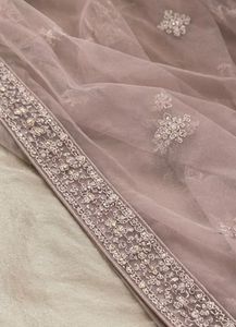 Elegant Embellished Lehenga Choli