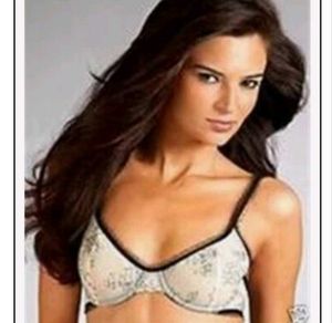 Sheer Lace Bra