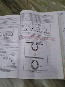 Class 9 Maths &amp; Science Books