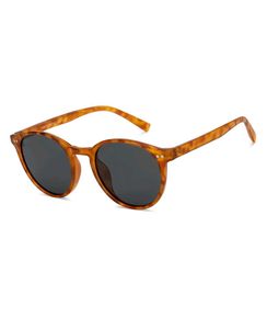 Tortoise Grey Full RimRound Vincent Chase Holiday