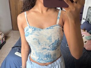 Vintage Scenic Print Crop Top