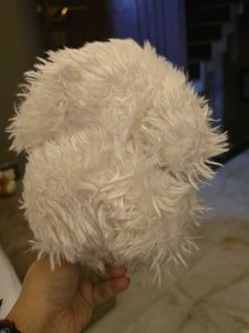 Cute Fluffy Dog