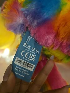 Rainbow Teddy Bear with Carrier