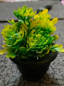 Cute Flower Pot