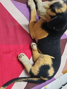 Cute Plush Dog Toy