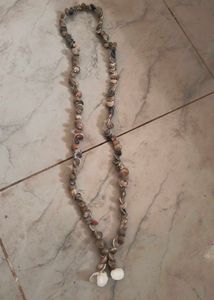 Seashell Necklace