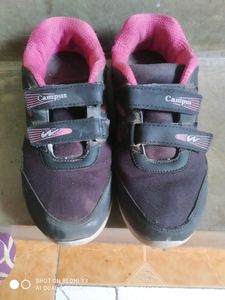 Campus Sports Shoes