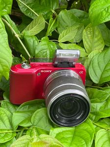 Sony Alpha Nex 1 Camera - Red