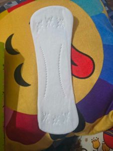 Equalife Panty Liners