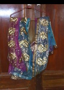 Elegant Purple Net Dupatta