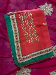 Elegant Embellished Saree
