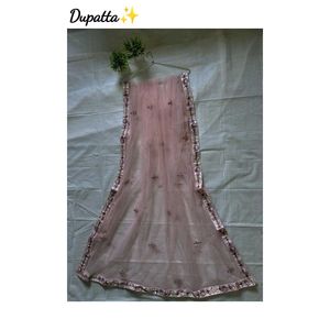 Elegant  Lehenga Choli Set✨