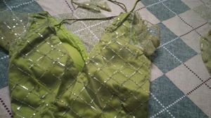 Stunning Green Embroidered Lehenga Choli