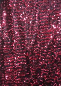 Sparkling Sequin Dress