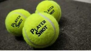 Cricket Ball
