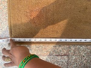 Carpet / Floor Rug