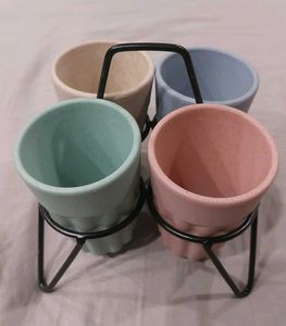Set of 4 Pastel Cups