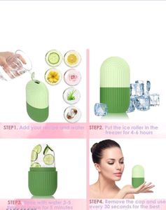 Resuable Ice Roller Case Mould
