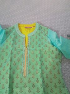 Beautiful Mint Green Printed Kurta