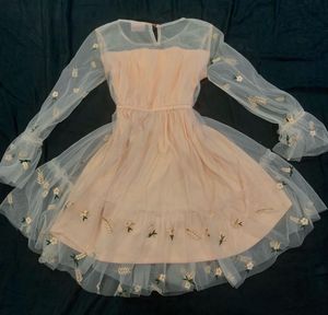 Peach Embroidered Tulle Dress