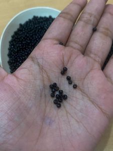 Black Seed Beads (same quantit as shown)